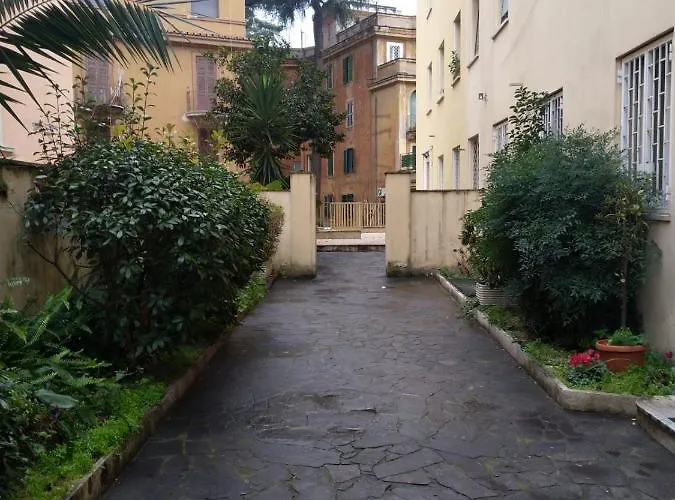 Tom's Roma